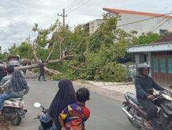 Jalur Penghubung Antarkecamatan di Magetan Terputus karena Pohon Tumbang