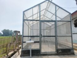 Rekanan Dinas Pertanian dan Ketahanan Pangan Kabupaten Karawang Telah Memperbaiki Sejumlah Green House dengan Atap yang Sobek-sobek