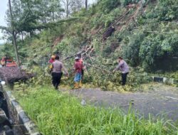 Polisi dan BPBD membersihkan pohon tumbang
