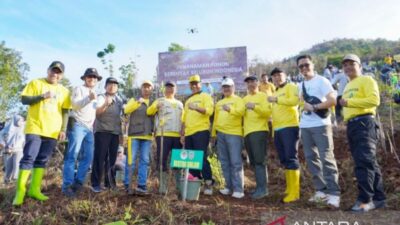 ULM memanam ribuan pohon untuk menurunkan emisi kehutanan, mendukung Kementerian LHK