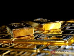 Harga emas turun Rp2.000 pada Selasa pagi