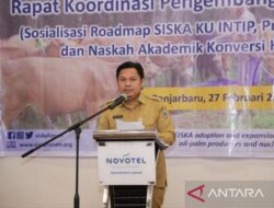 Pemerintah Provinsi Kalimantan Selatan mengejar defisit 1.523 ton daging sapi