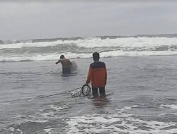 Penyelamatan Dramatis Terjadi saat Turis Prancis Terbawa Arus di Palung Pantai Parangtritis