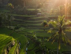 10 Tempat Wisata Alam Terbaru di Bali Tahun 2024 yang Sangat Indah!