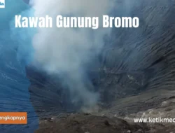 Gunung Bromo: Destinasi Wisata yang Harus Dikunjungi di Indonesia
