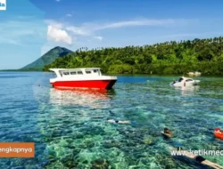 Apa Aktivitas yang Dapat Dilakukan dalam Paket Wisata Bunaken Satu Hari?