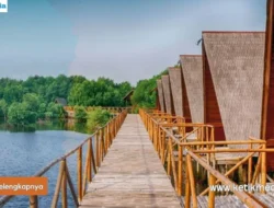 Keindahan Taman Wisata Mangrove Jakarta Utara: Hutan Tropis di Kota