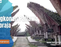 Toraja: Sejarah, Arsitektur, dan Desa Wisata