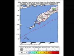 Gempa M3,5 Mengguncang Kupang NTT, BMKG Menyatakan Pusat Gempa Terletak di Laut