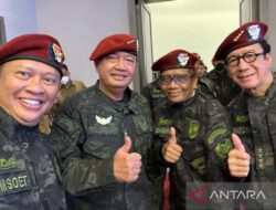 MPR mendukung Panglima TNI dalam tindakan tegas terhadap OPM