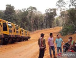 PT MCM masih belum memiliki Izin Prinsip Pemanfaatan Hasil Hutan (IPPKH) untuk Jalan Hauling